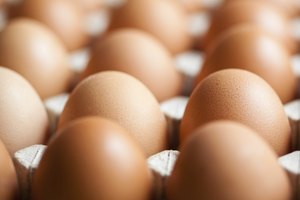 Las principales fuentes de proteínas completas son de alimentos de origen animal, como carne, mariscos, huevos y lácteos.
