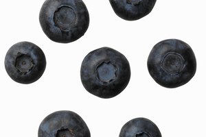 Los arándanos (blueberry) contienen grandes cantidades de antioxidantes.