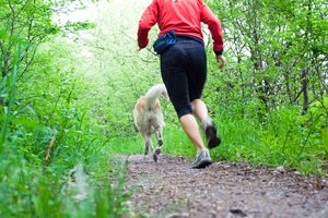 Una persona trota con su perro en el campo.