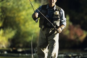 Pesca, remo y observación de la vida silvestre son actividades de las que podrás disfrutar en el Campamento estatal forestal del río Manistee.