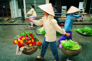 La raíz del jengibre se ha utilizado en Asia para tratar numerosas enfermedades desde hace más de 2.000 años.