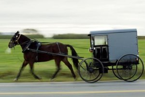 Chris Hondros/Getty Images News/Getty Images Mennonites sometimes use the same horsedrawn carts as the Amish to transport a casket to the church or cemetery.