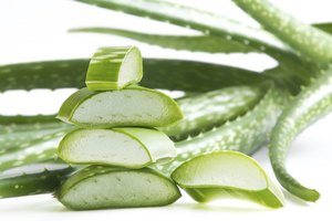 Evita las hierbas como el aloe y ginseng.