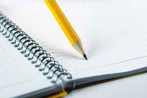 Escribe el plan