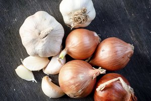 Ajos y cebollas.