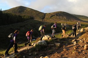 Northern Ireland's County Down tiene impresionantes vistas a las colinas para gratificar a los ambiciosos excursionistas.