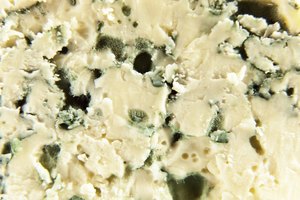 Acercamiento del queso azul.