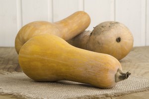 Calabacines.