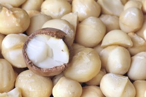 Nueces de Macadamia.