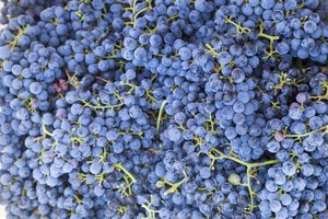 Uvas.