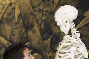 Los museos complementan el aprendizaje infantil.