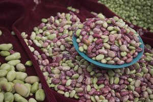 Las dietas ricas en carne roja y frijoles pueden causar flatulencia excesiva.
