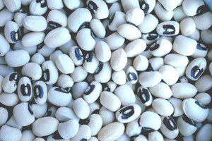 Consume alimentos ricos en fosfatidilserina.