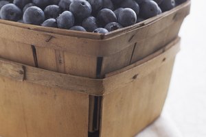 La zona de granjas u-picking ofrecen oportunidades para la cosecha de arándanos y otros productos.