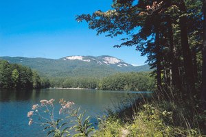 Las Blue Ridge Mountains ofrecen un pintoresco escenario para camping primitivo en Georgia.