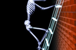 El sistema esquelético junto con el muscular permiten el movimiento del cuerpo.