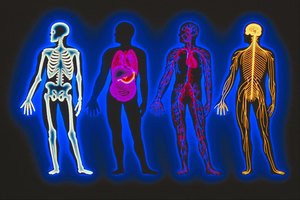 Tu cuerpo depende del potasio y del yodo para su funcionamiento diario, para el crecimiento y el desarrollo.