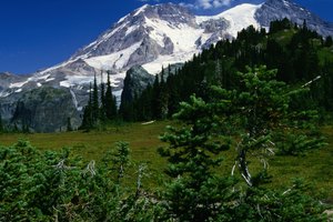 El monte Rainier es parte de las montañas Cascade al sur de Washington.