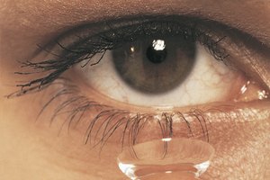 Usar lentes correctamente proporciona salud ocular.