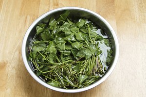 Hierbas gotu kola en un tazón.