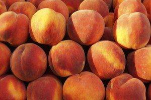 Las frutas frescas contienen mucha agua y son bajas en calorías.