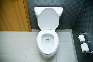 Efectos de eliminación de excrementos.