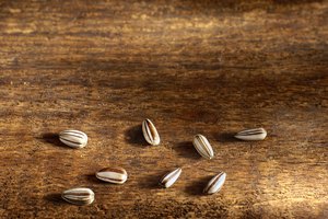 Una porción de semillas de girasol contiene las dos terceras partes de vitamina E que necesitas por día.