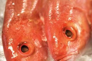 Thinkstock/Comstock/Getty Images Red snapper is only one species of rockfish -- look for clear eyes and bright color for the freshest fish.