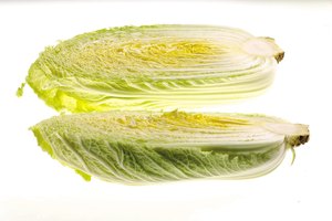 Selecciona una cabeza de tamaño medio con hojas verdes brillantes y tallos blancos.