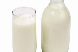Puedes darle 1 taza de leche descremada antes de acostarse.