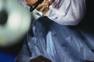 Las comidas pequeñas, frecuentes y ricas en nutrientes pueden ayudarte a subir de peso después de una cirugía de inmovilización de la mandíbula.