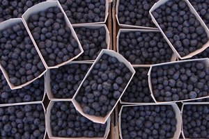 Los arándanos están llenos de antioxidantes y son deliciosos con casi todo.