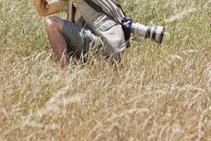 Las imágenes de Flickr provienen de fotógrafos del mundo.