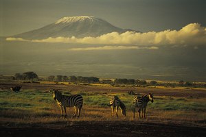 El Kilimanjaro sobre las nubes puede resultar un ascenso demasiado difícil para muchos.