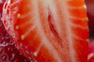 Las fresas frescas duran menos si son lavadas y cortadas.