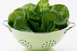 La ingesta de vegetales es primordial.