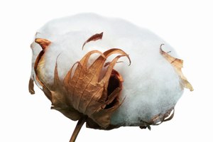 La tela de algodón es hipoalergénica, resistente al agua y duradera.