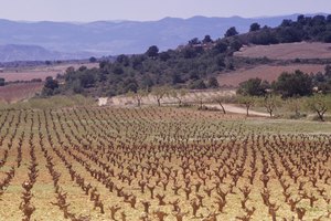 Grazelma te ofrece una excelente opción para sacar tu bicicleta y adentrarte en los lugares remotos de Andalucía.