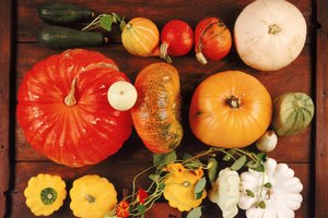 La pequeñas calabazas con sus bordes redondeados están entre los calabacines más apetecibles..