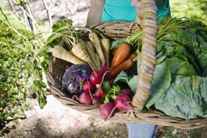 Las dietas vegetarianas pueden ayudar a disminuir el riesgo de padecer presión sanguínea alta, enfermedad cardíaca, diabetes, cáncer, demencia, artritis, enfermedad renal, cálculos biliares y diverticulitis.