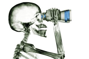 Las características físicas y fisiológicas son importantes en la comprensión de temas tales como la anatomía comparada.