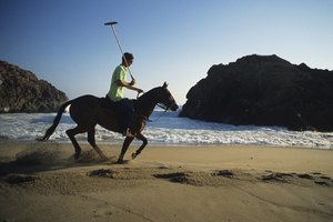 El deporte del polo también está ganando popularidad en Estados Unidos.