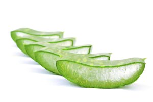 Planta de aloe vera.