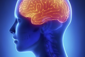 En la jaqueca existe una liberación de sustancias inflamatorias en el cerebro.