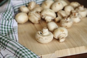 Los alimentos promotores de histamina como los champiñones deben ser evitados.