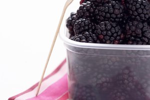 Déjate llevar por tu gusto por lo dulce, consumiendo menos de 100 calorías por porción de zarzamoras.