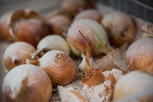 Si bien el resfriado común no tiene cura, existen tratamientos naturales que pueden aliviar efectivamente sus síntomas.