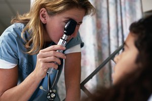 El extracto de semillas de hinojo puede ayudar a tratar el glaucoma.