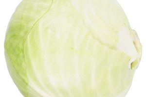 El repollo está repleto de nutrientes y componentes que potencian la salud.