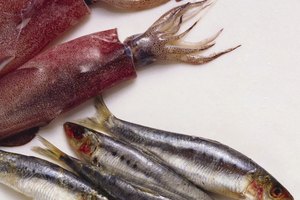 Las sardinas pueden estar contaminadas con mercurio, como otros pescados.